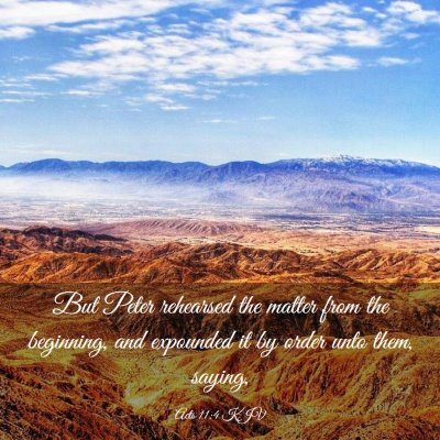 Picture 03 - Acts 11:4 KJV - But Peter rehearsed the matter from the - Bible Verse Picture