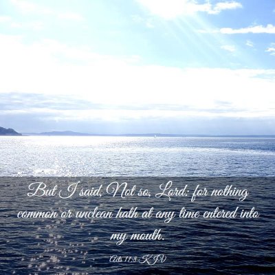 Picture 03 - Acts 11:8 KJV - But I said, Not so, Lord: for nothing common or - Bible Verse Picture