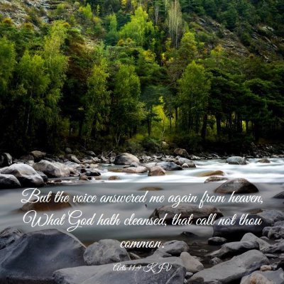 Picture 03 - Acts 11:9 KJV - But the voice answered me again from heaven, What - Bible Verse Picture