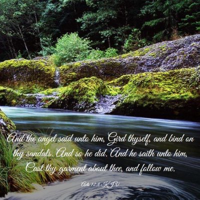 Picture 03 - Acts 12:8 KJV - And the angel said unto him, Gird thyself, and - Bible Verse Picture