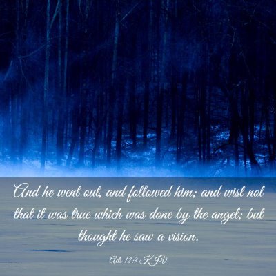 Picture 03 - Acts 12:9 KJV - And he went out, and followed him; and wist not - Bible Verse Picture