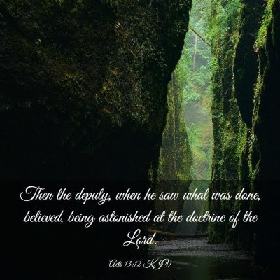 Picture 03 - Acts 13:12 KJV - Then the deputy, when he saw what was done, - Bible Verse Picture