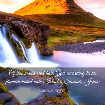 Picture 03 - Acts 13:23 KJV - Of this man's seed hath God according to his - Bible Verse Picture