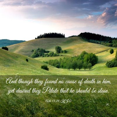 Picture 03 - Acts 13:28 KJV - And though they found no cause of death in him, - Bible Verse Picture