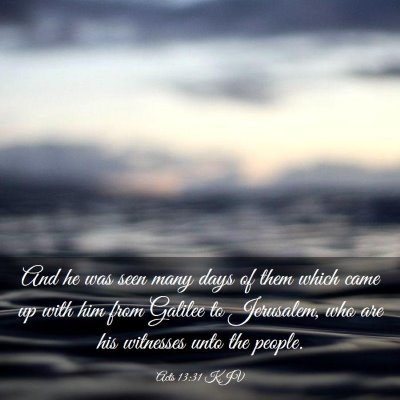 Picture 03 - Acts 13:31 KJV - And he was seen many days of them which came up - Bible Verse Picture