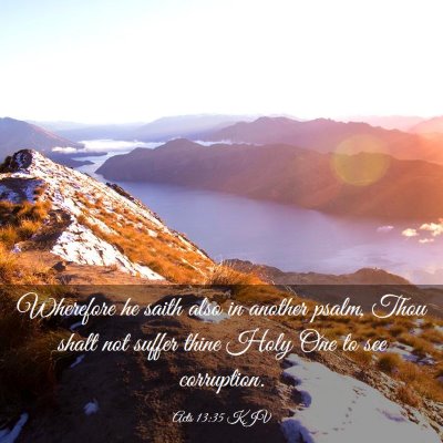 Picture 03 - Acts 13:35 KJV - Wherefore he saith also in another psalm, Thou - Bible Verse Picture