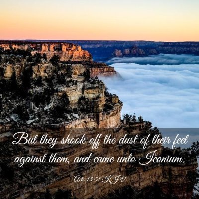 Picture 03 - Acts 13:51 KJV - But they shook off the dust of their feet against - Bible Verse Picture