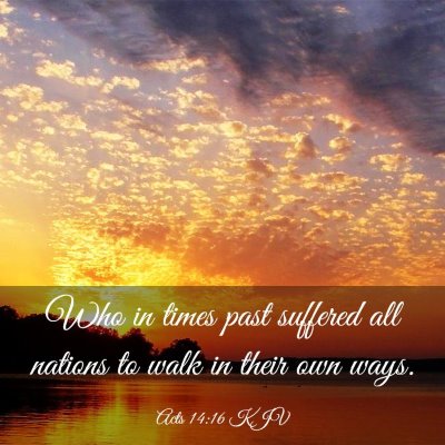 Picture 03 - Acts 14:16 KJV - Who in times past suffered all nations to walk in - Bible Verse Picture