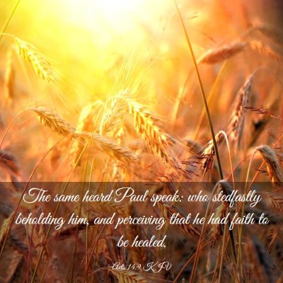 Picture 03 - Acts 14:9 KJV - The same heard Paul speak: who stedfastly - Bible Verse Picture