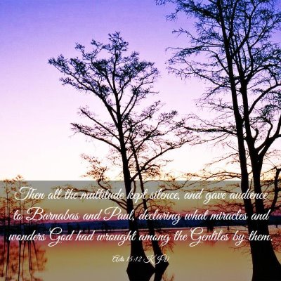 Picture 03 - Acts 15:12 KJV - Then all the multitude kept silence, and gave - Bible Verse Picture