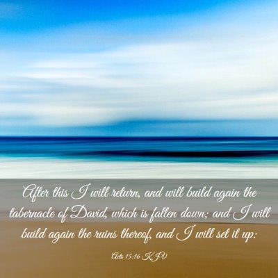 Picture 03 - Acts 15:16 KJV - After this I will return, and will build again - Bible Verse Picture