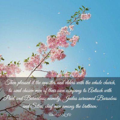 Picture 03 - Acts 15:22 KJV - Then pleased it the apostles and elders with the - Bible Verse Picture