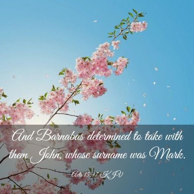Picture 03 - Acts 15:37 KJV - And Barnabas determined to take with them John, - Bible Verse Picture