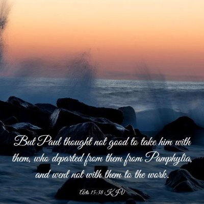 Picture 03 - Acts 15:38 KJV - But Paul thought not good to take him with them, - Bible Verse Picture