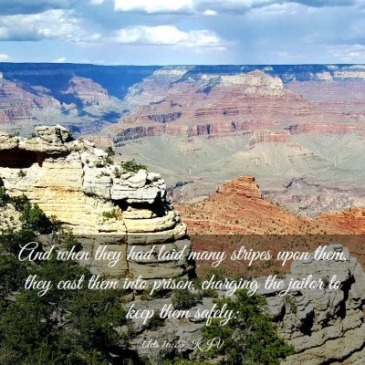 Picture 03 - Acts 16:23 KJV - And when they had laid many stripes upon them, - Bible Verse Picture