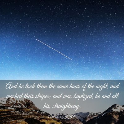 Picture 03 - Acts 16:33 KJV - And he took them the same hour of the night, and - Bible Verse Picture