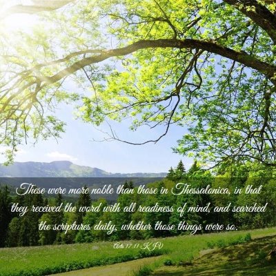 Picture 03 - Acts 17:11 KJV - These were more noble than those in Thessalonica, - Bible Verse Picture