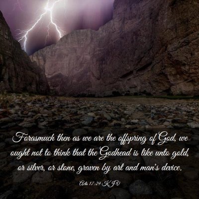 Picture 03 - Acts 17:29 KJV - Forasmuch then as we are the offspring of God, we - Bible Verse Picture