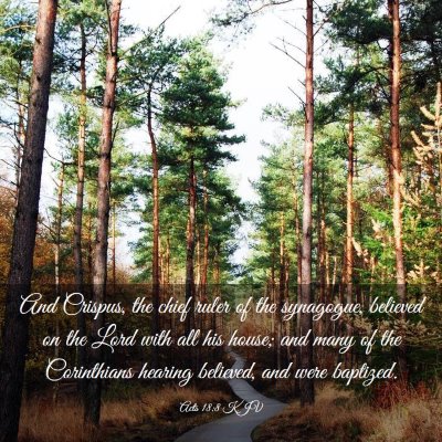 Picture 03 - Acts 18:8 KJV - And Crispus, the chief ruler of the synagogue, - Bible Verse Picture