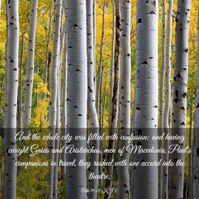 Picture 03 - Acts 19:29 KJV - And the whole city was filled with confusion: and - Bible Verse Picture