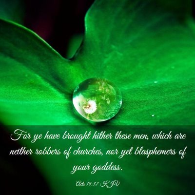 Picture 03 - Acts 19:37 KJV - For ye have brought hither these men, which are - Bible Verse Picture