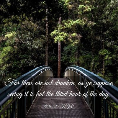 Picture 03 - Acts 2:15 KJV - For these are not drunken, as ye suppose, seeing - Bible Verse Picture