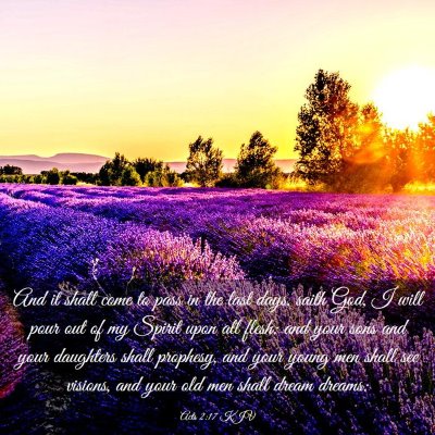 Picture 03 - Acts 2:17 KJV - And it shall come to pass in the last days, saith - Bible Verse Picture