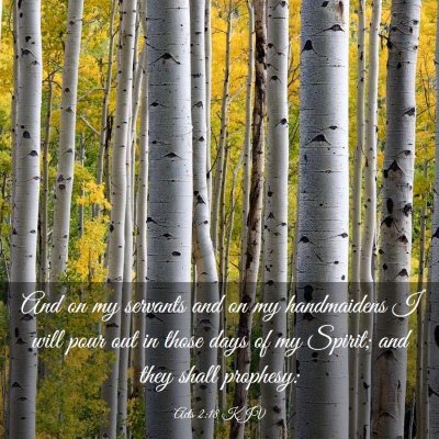 Picture 03 - Acts 2:18 KJV - And on my servants and on my handmaidens I will - Bible Verse Picture