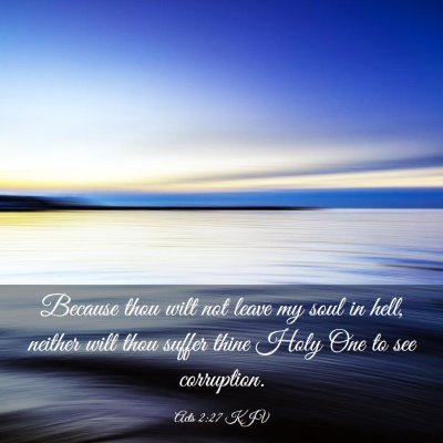 Picture 03 - Acts 2:27 KJV - Because thou wilt not leave my soul in hell, - Bible Verse Picture