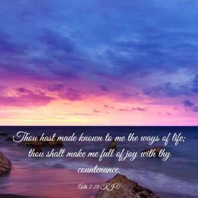 Picture 03 - Acts 2:28 KJV - Thou hast made known to me the ways of life; thou - Bible Verse Picture