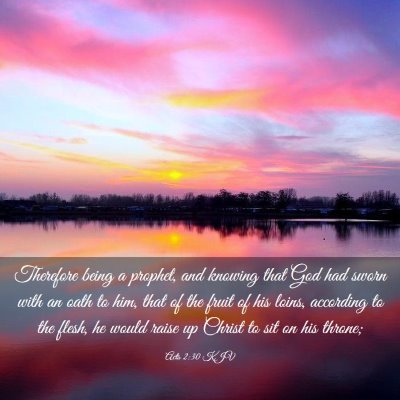 Picture 03 - Acts 2:30 KJV - Therefore being a prophet, and knowing that God - Bible Verse Picture