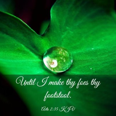 Picture 03 - Acts 2:35 KJV - Until I make thy foes thy - Bible Verse Picture