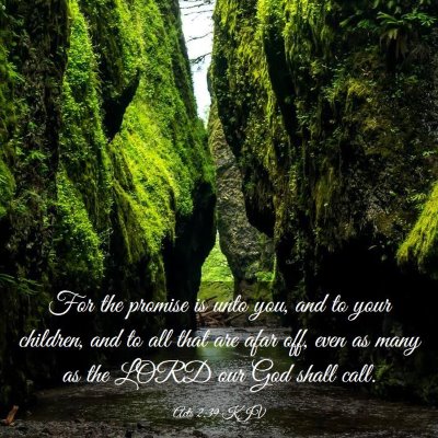 Picture 03 - Acts 2:39 KJV - For the promise is unto you, and to your - Bible Verse Picture