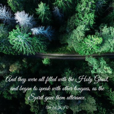 Picture 03 - Acts 2:4 KJV - And they were all filled with the Holy Ghost, and - Bible Verse Picture