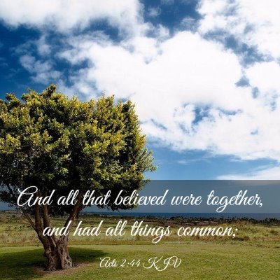 Picture 03 - Acts 2:44 KJV - And all that believed were together, and had all - Bible Verse Picture