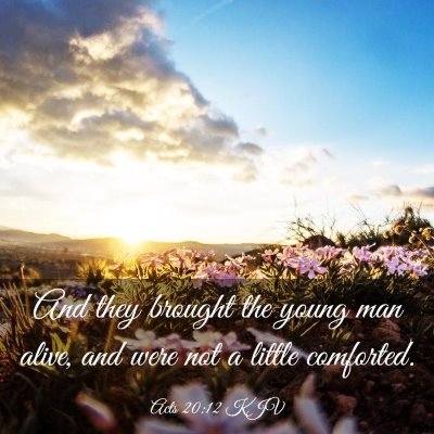 Picture 03 - Acts 20:12 KJV - And they brought the young man alive, and were - Bible Verse Picture