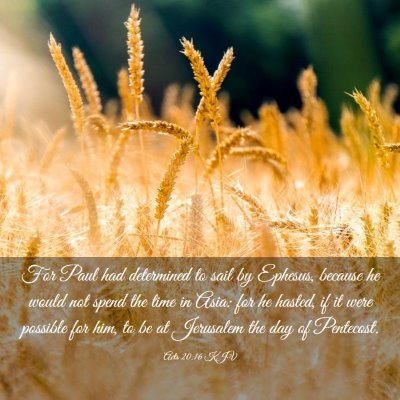 Picture 03 - Acts 20:16 KJV - For Paul had determined to sail by Ephesus, - Bible Verse Picture