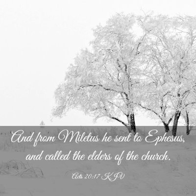 Picture 03 - Acts 20:17 KJV - And from Miletus he sent to Ephesus, and called - Bible Verse Picture