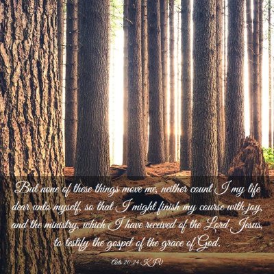 Picture 03 - Acts 20:24 KJV - But none of these things move me, neither count I - Bible Verse Picture