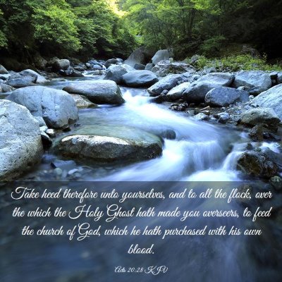 Picture 03 - Acts 20:28 KJV - Take heed therefore unto yourselves, and to all - Bible Verse Picture