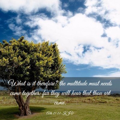 Picture 03 - Acts 21:22 KJV - What is it therefore? the multitude must needs - Bible Verse Picture