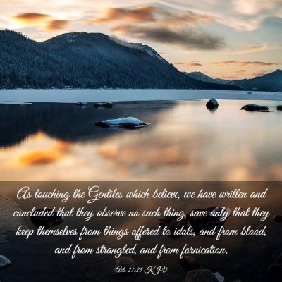 Picture 03 - Acts 21:25 KJV - As touching the Gentiles which believe, we have - Bible Verse Picture