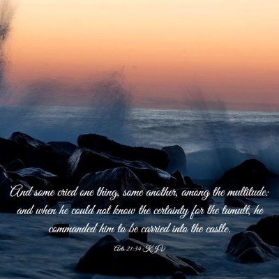 Picture 03 - Acts 21:34 KJV - And some cried one thing, some another, among the - Bible Verse Picture