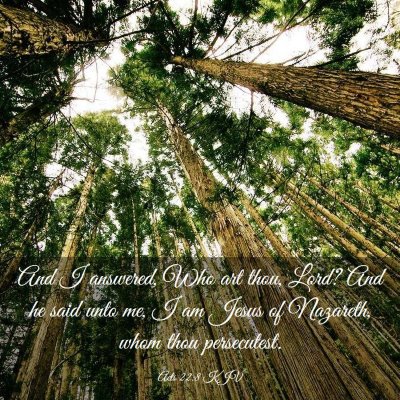 Picture 03 - Acts 22:8 KJV - And I answered, Who art thou, Lord? And he said - Bible Verse Picture