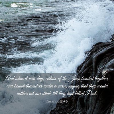 Picture 03 - Acts 23:12 KJV - And when it was day, certain of the Jews banded - Bible Verse Picture