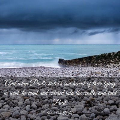 Picture 03 - Acts 23:16 KJV - And when Paul's sister's son heard of their lying - Bible Verse Picture