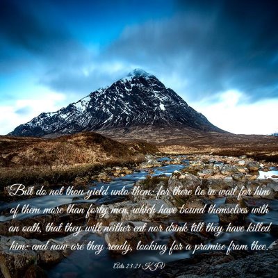 Picture 03 - Acts 23:21 KJV - But do not thou yield unto them: for there lie in - Bible Verse Picture