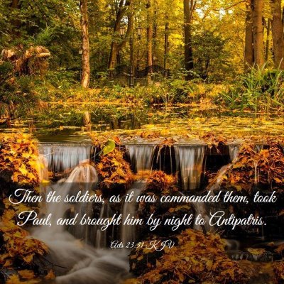 Picture 03 - Acts 23:31 KJV - Then the soldiers, as it was commanded them, took - Bible Verse Picture