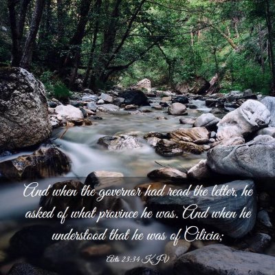 Picture 03 - Acts 23:34 KJV - And when the governor had read the letter, he - Bible Verse Picture
