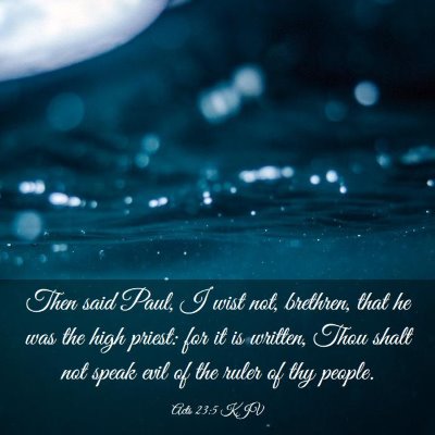 Picture 03 - Acts 23:5 KJV - Then said Paul, I wist not, brethren, that he was - Bible Verse Picture